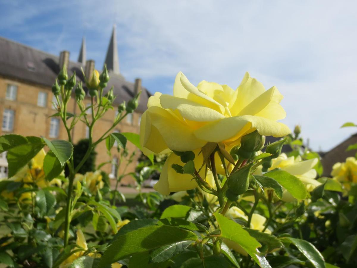 Gite La Volette Moulins-Saint-Hubert エクステリア 写真